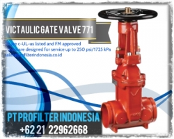 d Victaulic Gate Valve 771 Profilter Indonesia  large